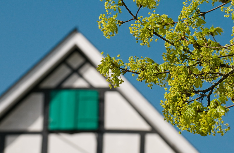 10.06.2011 Fenster-WTL-D35_2787-als-Smart-Objekt-1.jpg - Wuppertal - Beyenburg